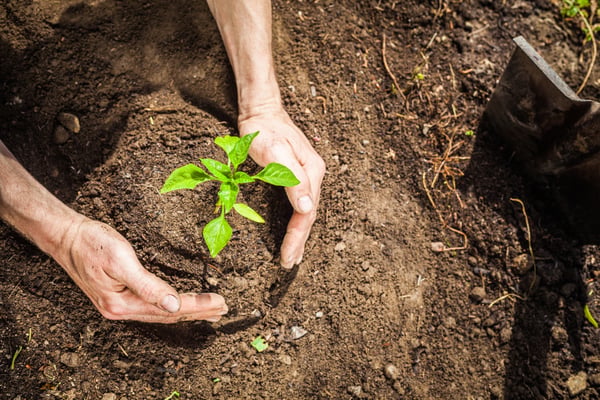 How to Start an Endowment Fund
