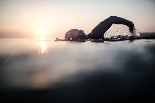 close up silhouette photo of someone swimming laps at sunset