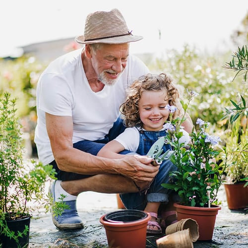 grandfather gardening with grandchild smiling