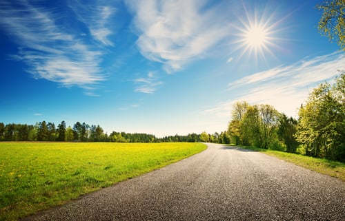 spring path on a bright sunny day