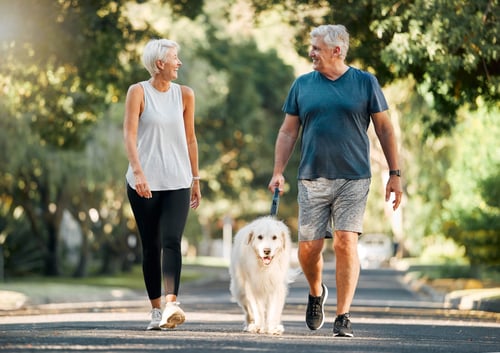 mature couple walking a dog and looking at each other in a park