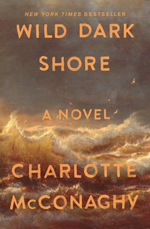 wild-dark-shore
