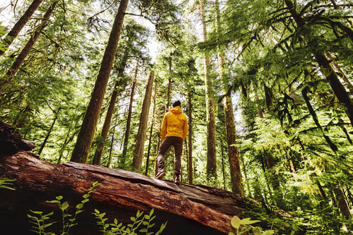 Annual Outlook Webinar 2025: Planning & Investing Outlook